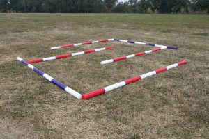 Poles forming labyrinth for horse training.