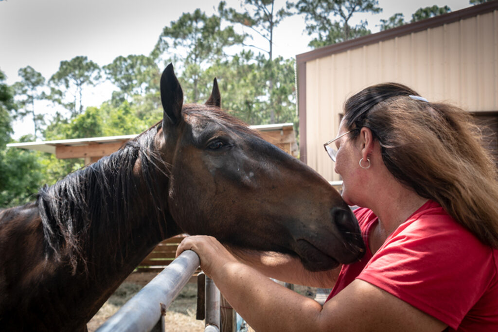 adoptable horse Maverick