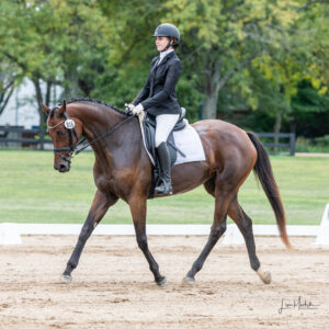 ASPCA’s Right Horse Adoptable Horse: Marie Joelle