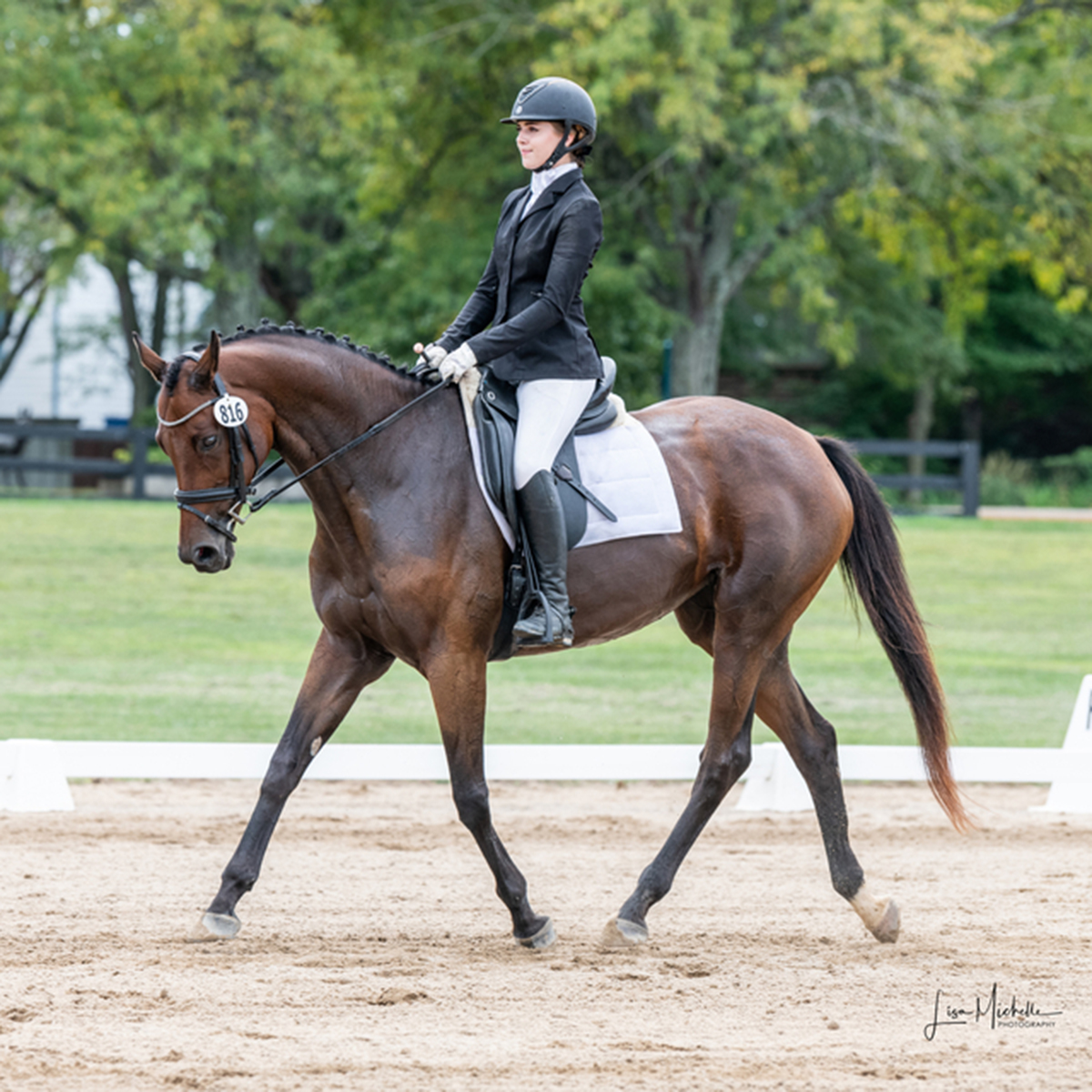 ASPCA’s Right Horse Adoptable Horse: Marie Joelle