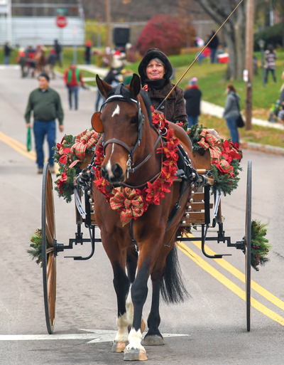 Driving horse and carriage parade