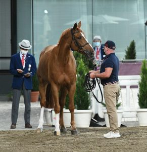 Lee McKeever, head groom for McLain Ward and Contagious