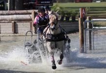 Leslie Berndl and Sweetwater's Marmaduke