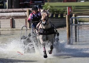 Four USEF Preliminary Combined Driving National Championships Crowned at Florida Spring Fling CDE
