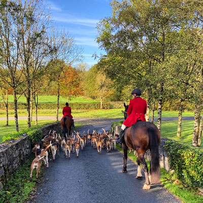 Limerick Hunt - Susan Friedland - Equestrian Blogging Adventures