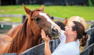 Loving on a Horse - How to help a local rescue