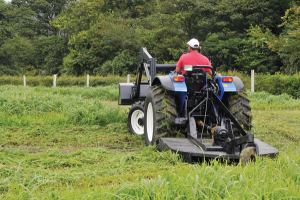 Man on a Tractor