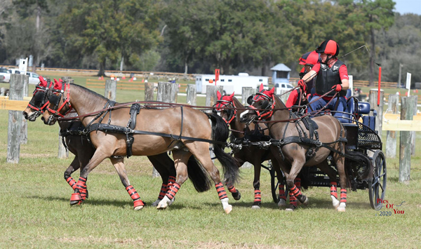 Louise Blankinship and her Four-in-Hand Team at the USEF Preliminary Combined Driving National Championships