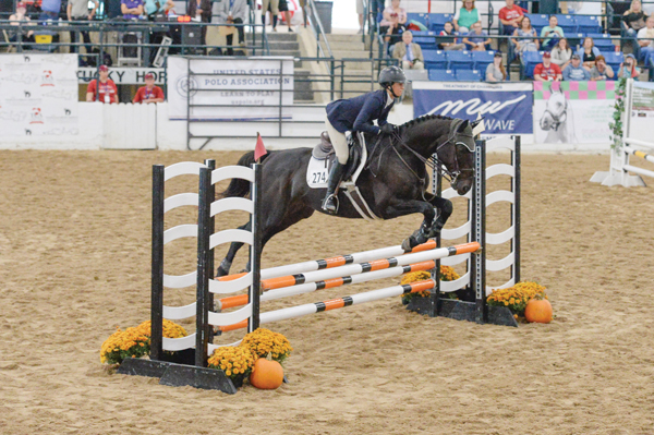 Thoroughbred Makeover Hunter/Jumper Disciplines