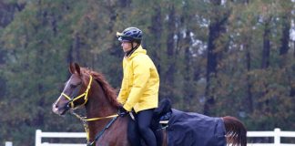 Marcia Weilbach and Zanthus Fury in the USEF Endurance National Championships