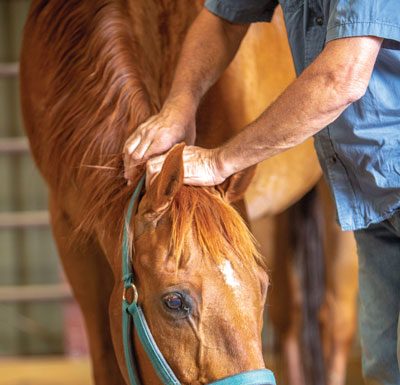 Masterson Stretching