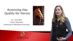 Video: How to Evaluate Hay Quality