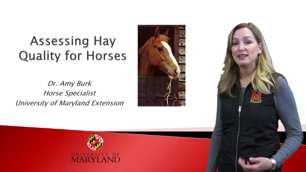 Video: How to Evaluate Hay Quality