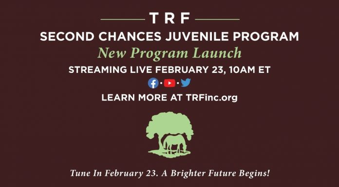 Thoroughbred Retirement Foundation