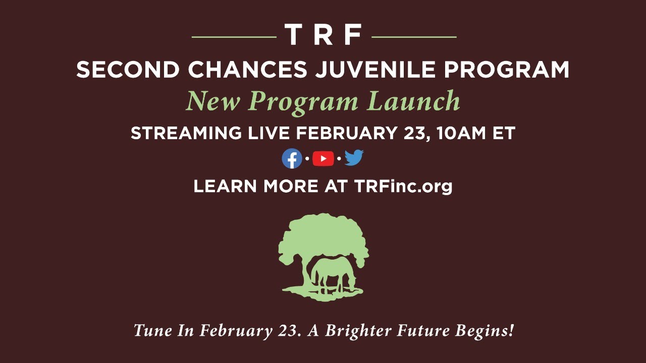 Thoroughbred Retirement Foundation Second Chances Juvenile Program Launches in Ocala, Fla.