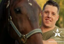 Horses Help Veterans Suffering from PTSD Heal