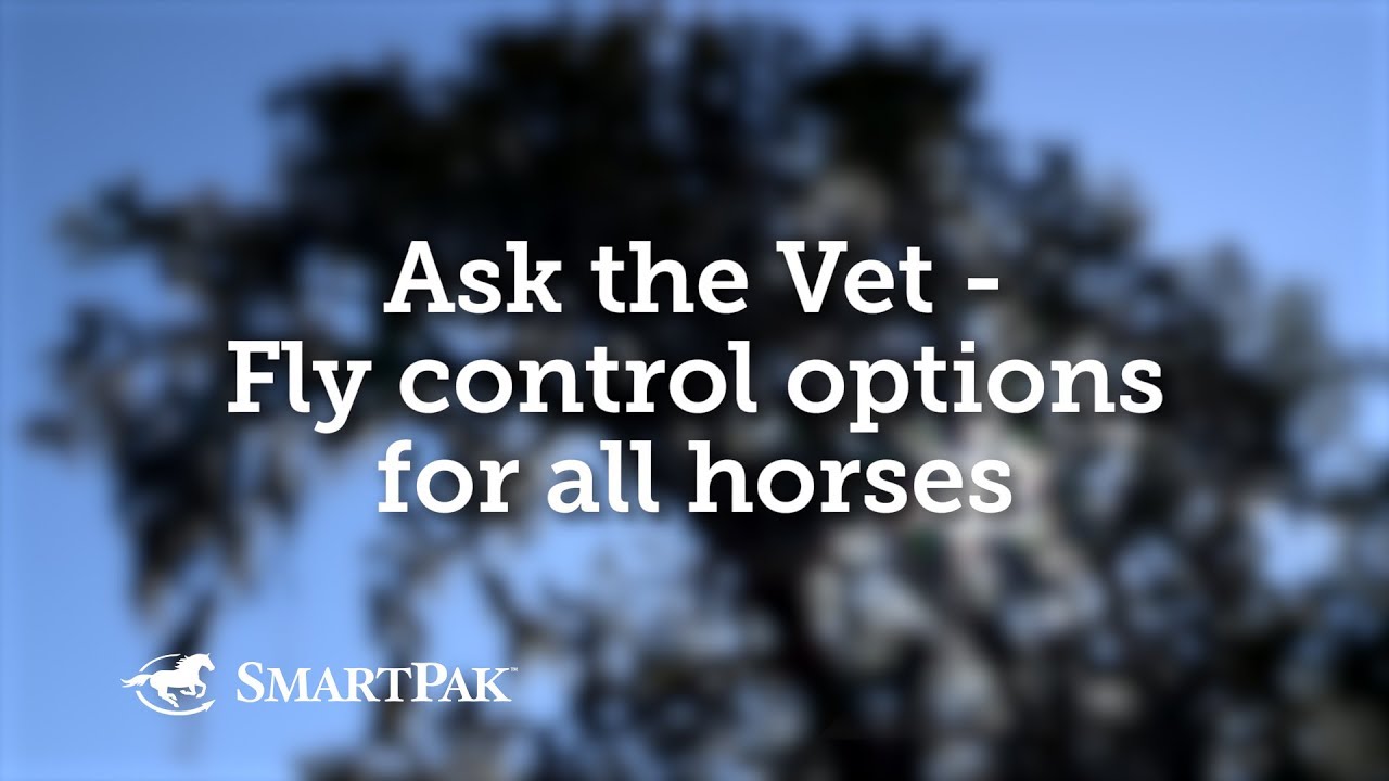 April 2020 SmartPak SmartTip of the Month: Controlling Flies from all Angles