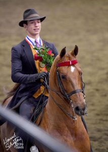 Michael Arquilla Rides to USEF Saddle Seat Medal Final Win