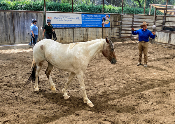 Monty Roberts at The Movement with Camila