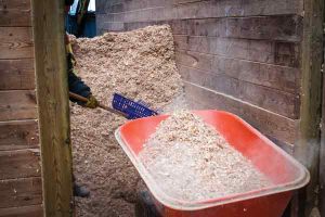 Cleaning/Mucking a Stall