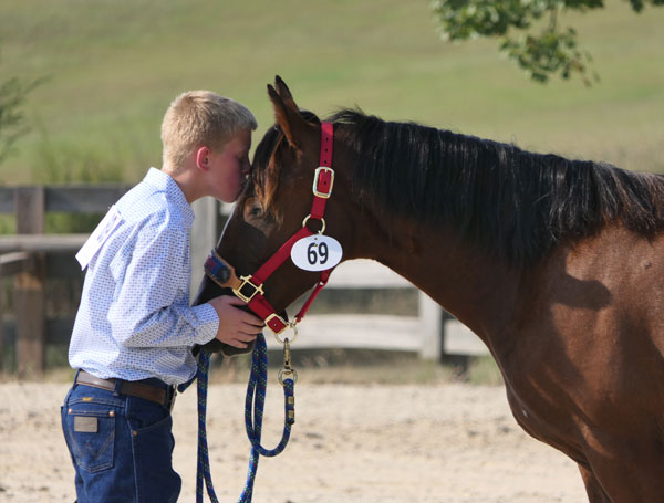 Mustang Heritage Foundation TIP Challenge Kiss