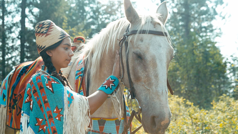Nez Perce Appaloosa Horse on Nature: American Horses