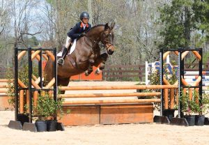 Horses and Higher Ed