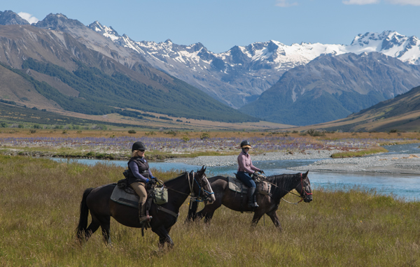 New Zealand Riding Destination