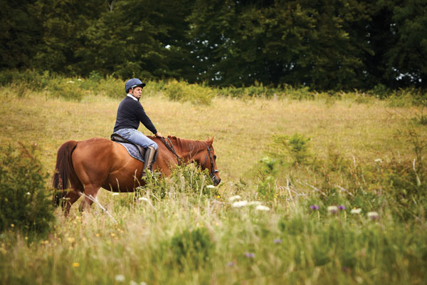 Man on horse on the trail in field - no cell signal