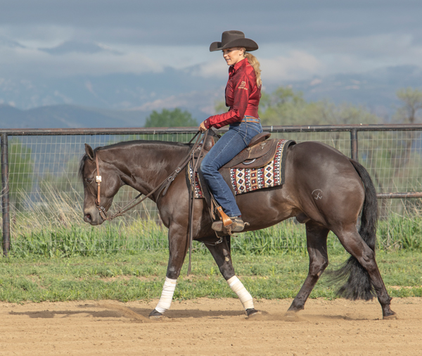 Western Control Over Your Horse