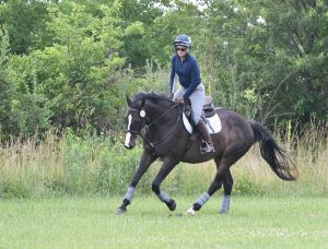 Online Riders Collective Launches Clinics for a Cause