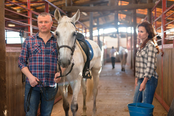 People with horse in barn. 