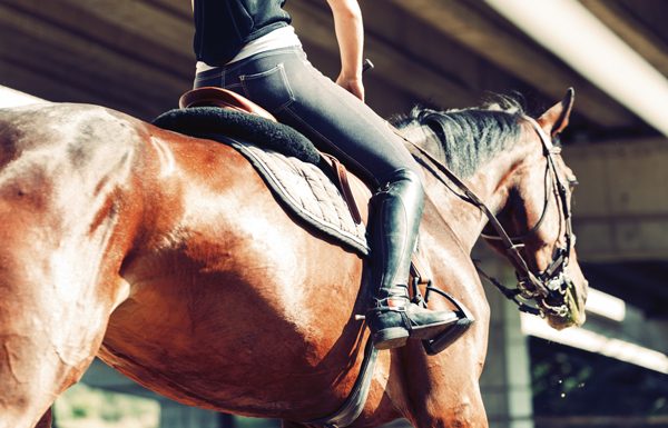 Person Riding - #GivingTuesdayNow Horse