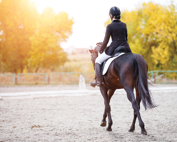 Dressage Rider