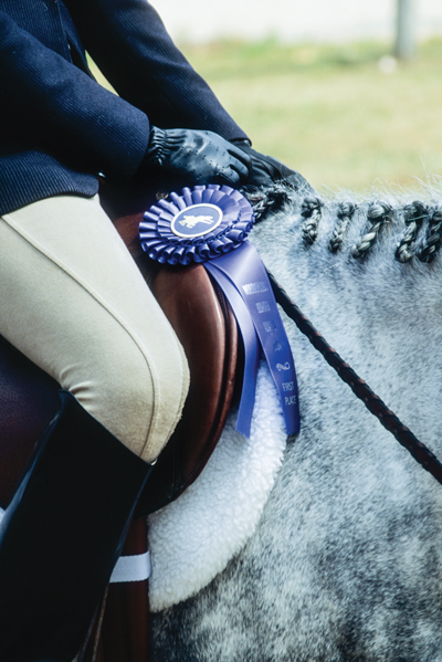 Ribbon