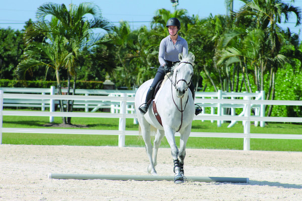 Horse and rider crossing first pole of the exercise.