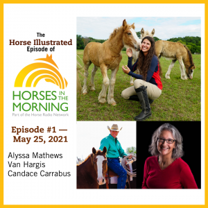 Episode 1: Riding Every Breed, Van Hargis, and Dream Horse Mysteries for May 25, 2021 from Title Sponsor Straight Arrow Products