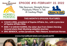 Podcast 10 - Preview of Equine Affaire Ohio, Sisters Horsing Around Mustang Journey, and PBS's Nature: American Horses