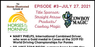 Horse Illustrated Podcast - Episode 3 - Mary Phelps - Summer Health Tips - Morgan Horse Breed
