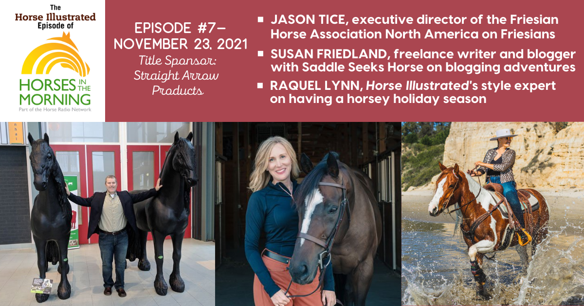 Podcast 7 - Friesian Horse Association with Jason Tice, Equestrian Blogging Adventures with Susan Friedland, Equestrian Vacation with Raquel Lynn