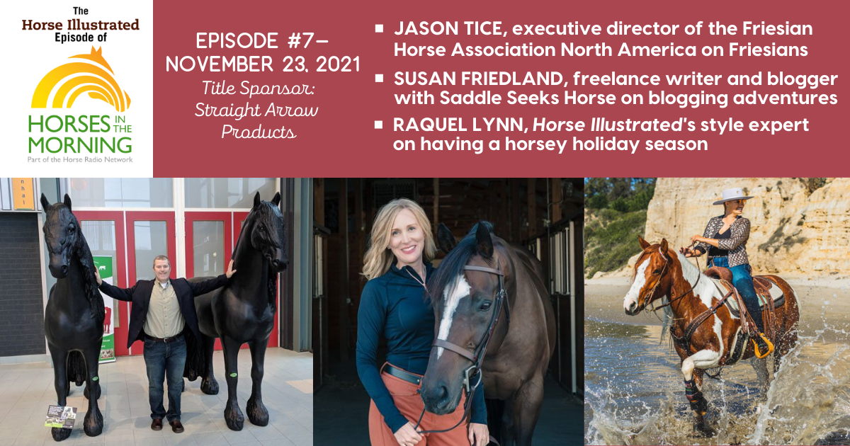 Podcast 7 - Friesian Horse Association with Jason Tice, equestrian blogging adventures with Susan Friedland, horsey holidays with Raquel Lynn