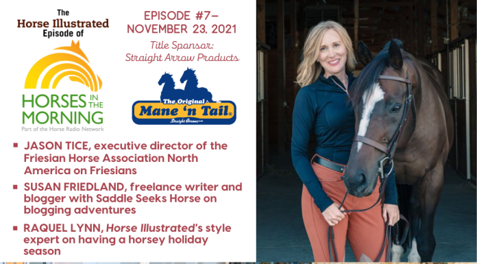 Podcast 7 - Friesian Horse Association with Jason Tice, equestrian blogging adventures with Susan Friedland, horsey holidays with Raquel Lynn