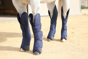 Professional’s Choice Shipping Boots protect your horse’s coronary bands, heels, pasterns, fetlocks, knees and hocks during transport.