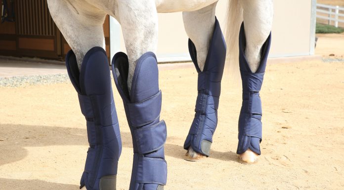 Professional’s Choice Shipping Boots protect your horse’s coronary bands, heels, pasterns, fetlocks, knees and hocks during transport.