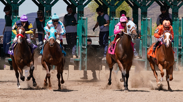 Racehorses coming out of gate