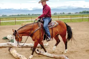 Maneuvering Poles in Ranch Horse Classes