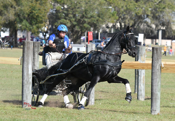 Raymond Helmuth and Kendro at the USEF Preliminary Combined Driving National Championships