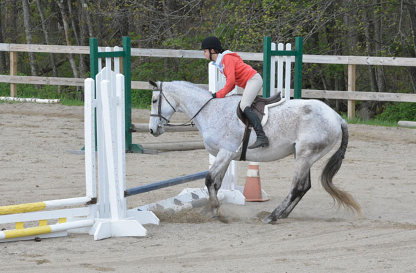 Horse Refusing Jump