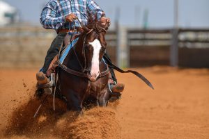 National Reining Horse Association Approved Reining Events Resume