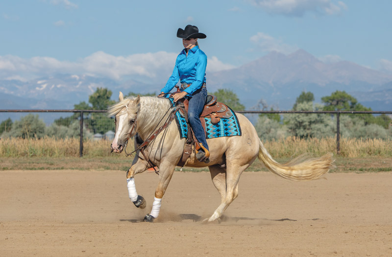 Reining Spin